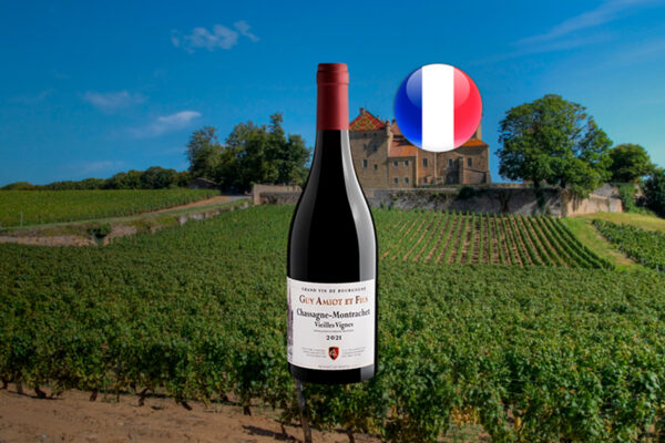 Guy Amiot et Fils Chassagne-Montrachet Vieilles Vignes AOP 2021 - Thumbnail