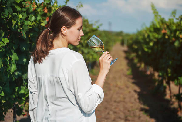 Luca Chardonnay 2021 - Degustando