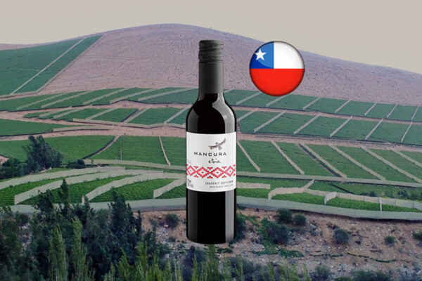 Mancura Etnia Cabernet Sauvignon 2023 - Thumbnail