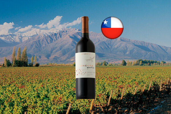 Mancura Guardian Reserva Cabernet Sauvignon 2015 - Thumbnail