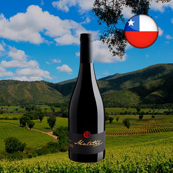Matetic Syrah Valle de San Antonio DO 2021 - Oferta