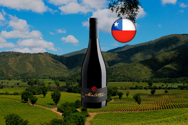 Matetic Syrah Valle de San Antonio DO 2021 - Thumbnail