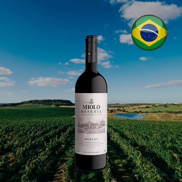 Miolo Reserva Merlot 2023 - Oferta