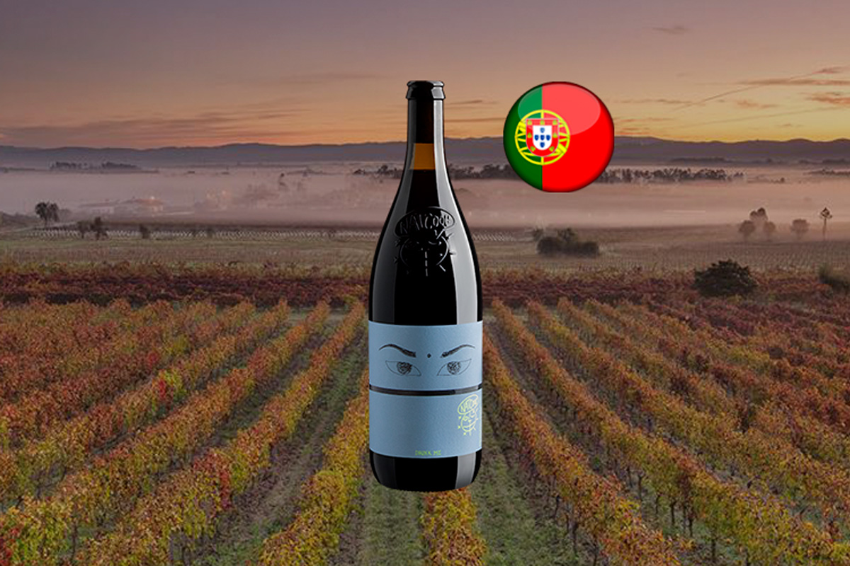 Niepoort Nat Cool Drink Me Bairrada Tinto 1L 2023 - Vinho tinto ...