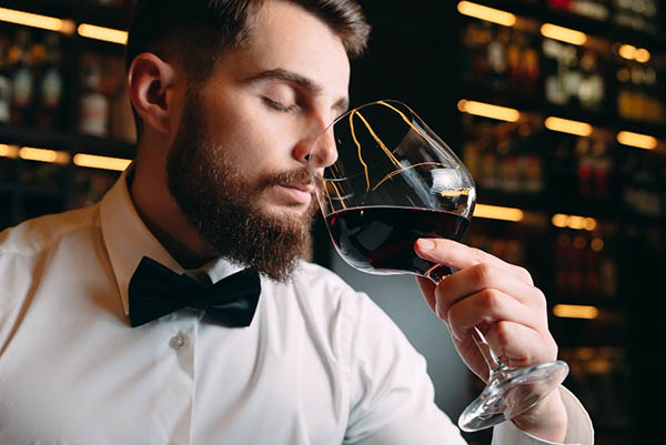 Nieto Senetiner Single Vineyard Villa Blanca Estate Malbec 2020 - Degustando