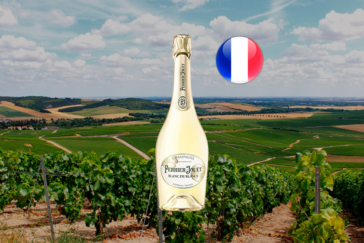 Perrier-Jouët Blanc de Blancs 2021 - Espumante francês | Center Gourmet