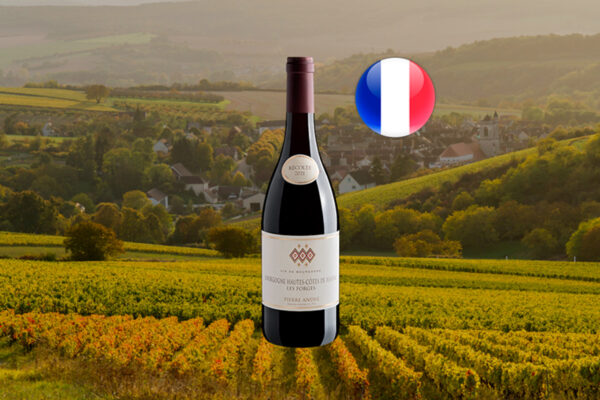 Pierre André Bourgogne Hautes-Côtes de Beaune Les Forges AOP 2021 - Thumbnail