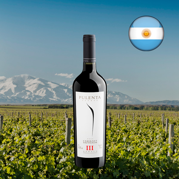 Pulenta Estate Cabernet Sauvignon III 2022 - Oferta