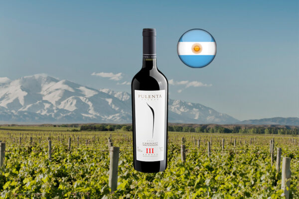 Pulenta Estate Cabernet Sauvignon III 2022 - Thumbnail