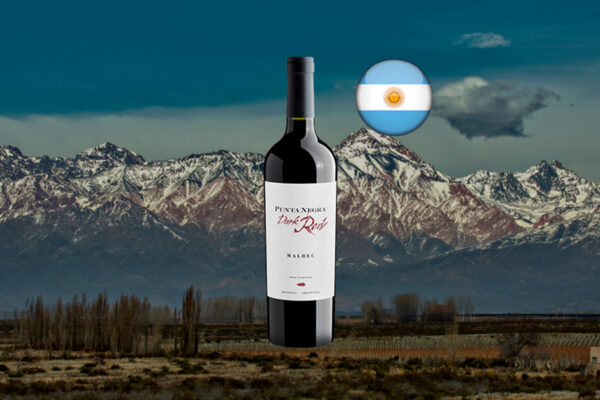 Punta Negra Dark Red Malbec - Thumbnail