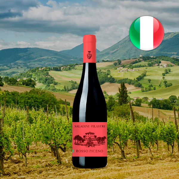 Saladini Pilastri Rosso Piceno DOC 2022 - Oferta