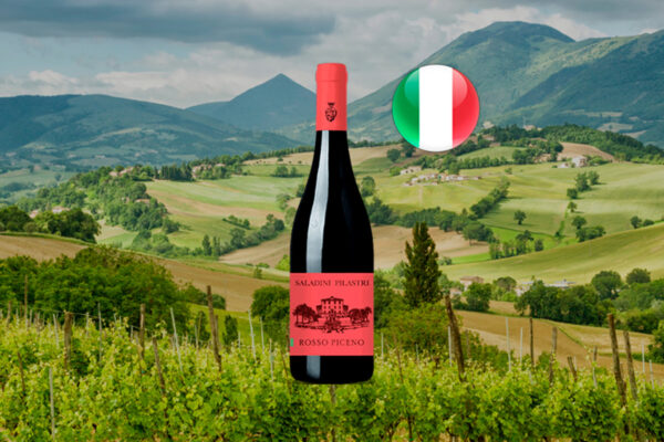 Saladini Pilastri Rosso Piceno DOC 2022 - Thumbnail