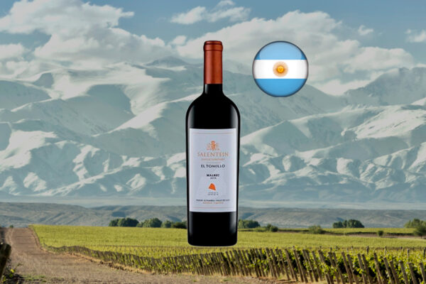 Salentein Single Vineyard El Tomillo Malbec 2018 - Thumbnail