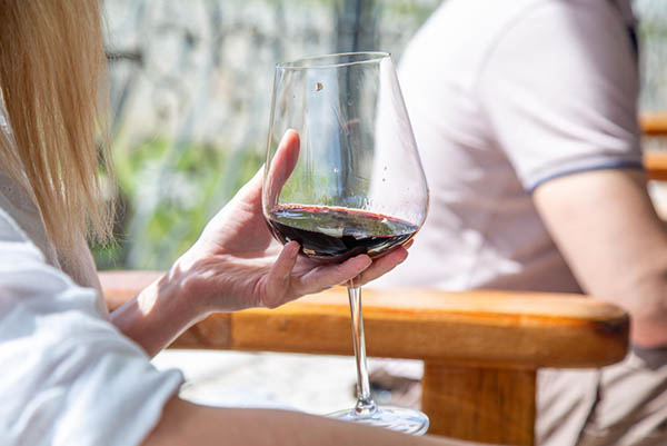 San Pedro 1865 Selected Vineyards Cabernet Sauvignon - Degustando