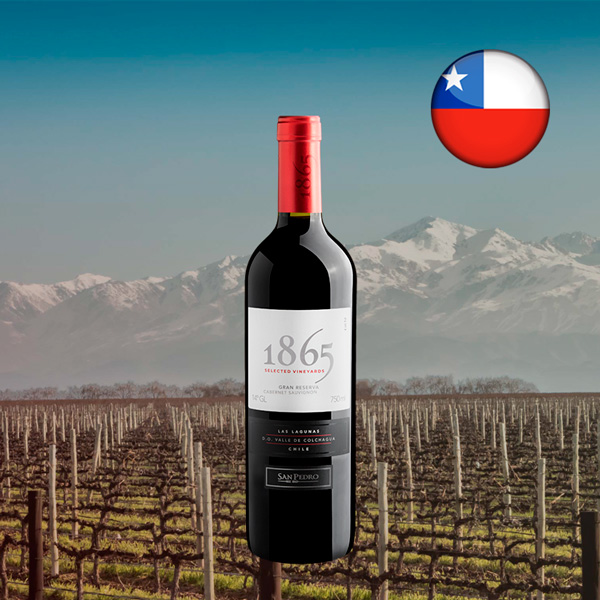 San Pedro 1865 Selected Vineyards Cabernet Sauvignon - Oferta