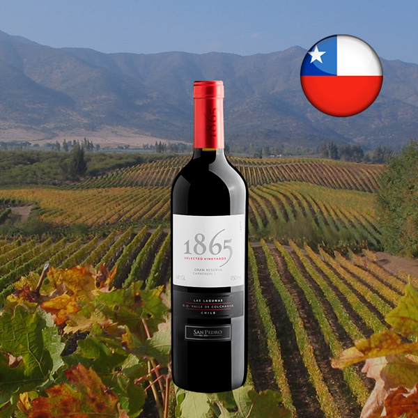 San Pedro 1865 Selected Vineyards Carménère Las Lagunas Valle de Colchagua DO - Oferta