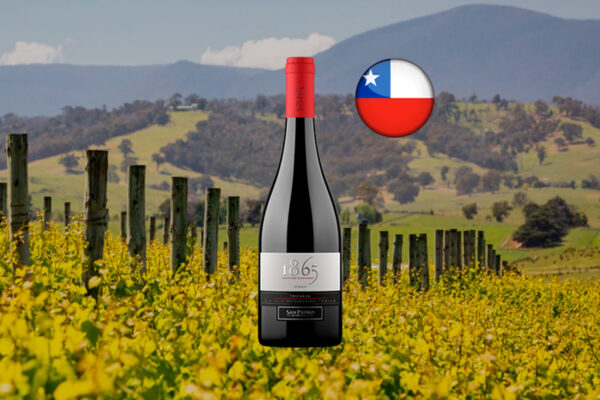 San Pedro 1865 Selected Vineyards Syrah Tricahue Valle del Cachapoal DO - Thumbnail