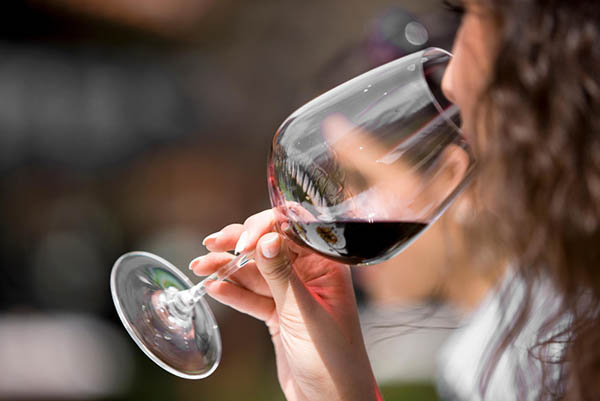 Siegel Cuna del Sol Unique Selection 2019 - Degustando