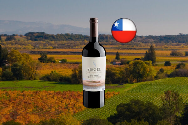 Siegel Single Vineyard Los Lingues Petit Verdot Valle de Colchagua DO 2019 - Thumbnail
