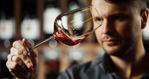 Tinto de Castelão by António Maçanita 2021 - Degustando