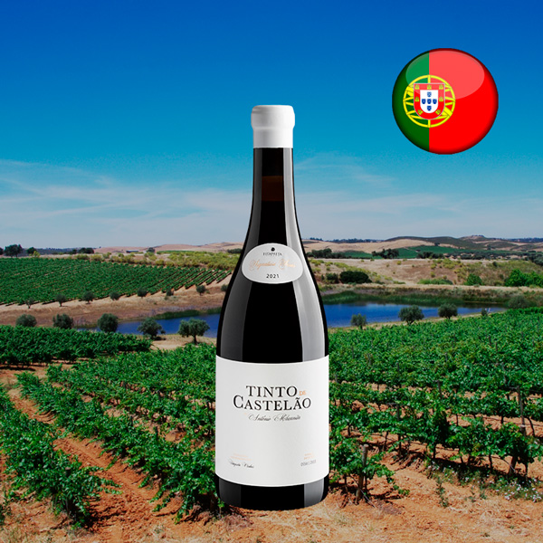Tinto de Castelão by António Maçanita 2021 - Oferta
