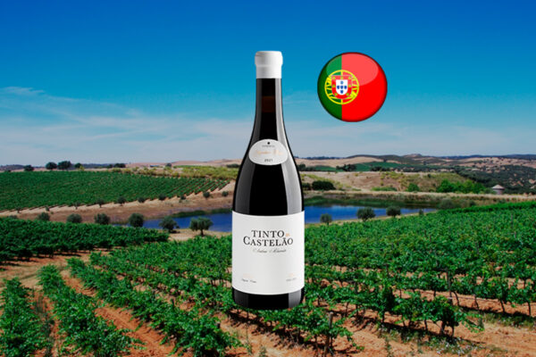 Tinto de Castelão by António Maçanita 2021 - Thumbnail