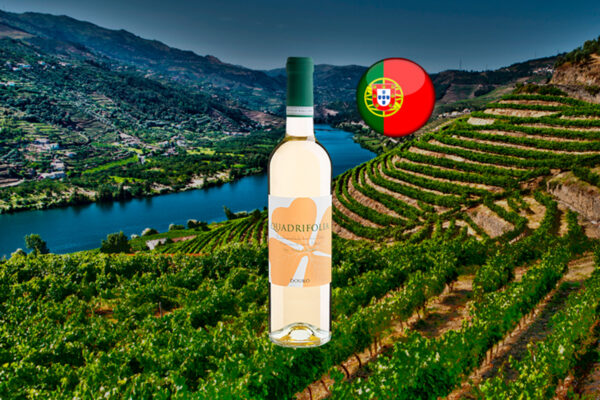 Vallado Quadrifolia Branco Douro DOC 2022 - Thumbnail
