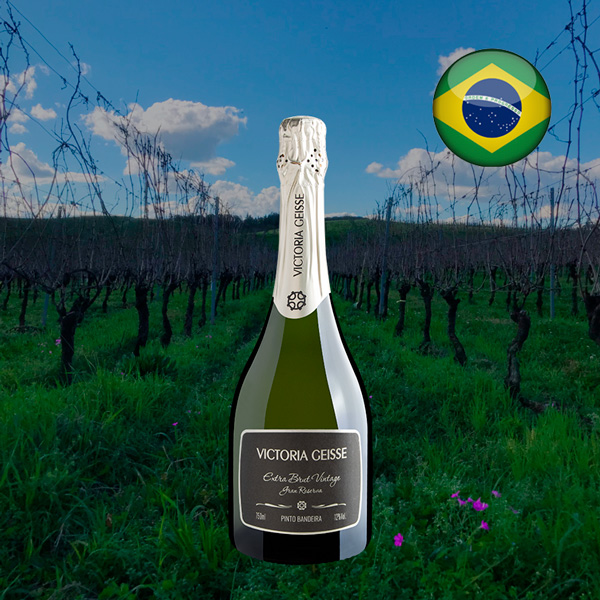 Victoria Geisse Extra Brut Vintage Gran Reserva - Oferta