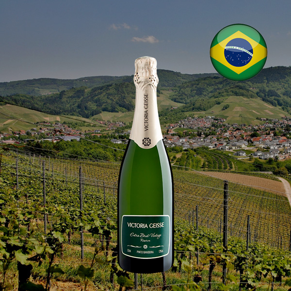 Victoria Geisse Extra Brut Vintage Reserva - Oferta