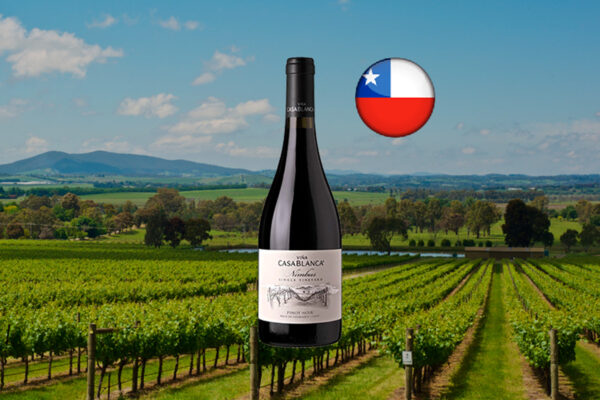 Viña Casablanca Nimbus Single Vineyard Pinot Noir 2021 - Thumbnail