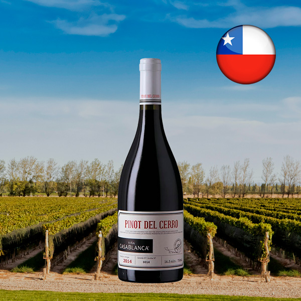 Viña Casablanca Pinot del Cerro Pinot Noir 2014 - Oferta