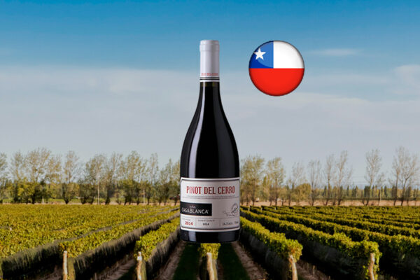 Viña Casablanca Pinot del Cerro Pinot Noir 2014 - Thumbnail