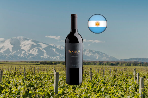 Vina Cobos Bramare Malbec Lujan de Cuyo 2022 Thumbnail