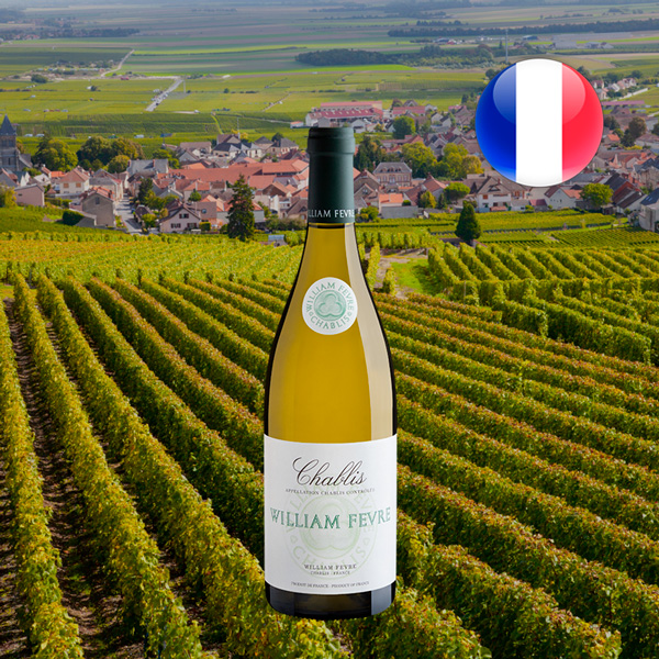 William Fèvre Chablis AOC 2023 - Oferta