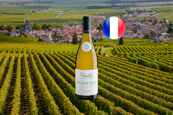 William Fèvre Chablis AOC 2023 - Thumbnail