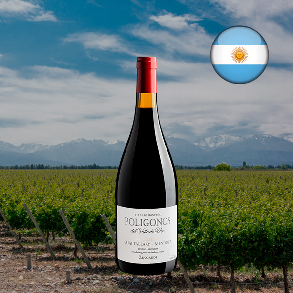 Zuccardi Polígonos Malbec Gualtallary 2022 - Oferta