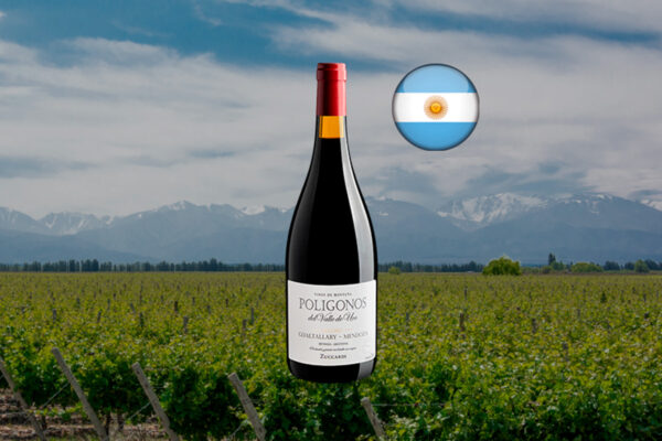 Zuccardi Polígonos Malbec Gualtallary 2022 - Thumbnail