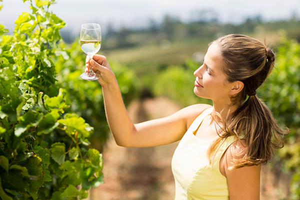 Zuccardi Serie A Chardonnay Viognier 2023 - Degustando