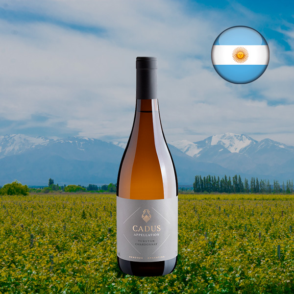 Cadus Appellation Tunuyán Chardonnay 2022 - Oferta