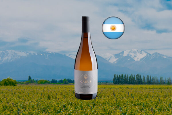 Cadus Appellation Tunuyán Chardonnay 2022 - Thumbnail