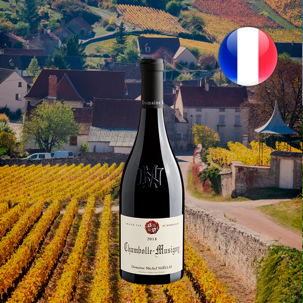 Domaine Michel Noëllat Chambolle-Musigny 2018 - Oferta