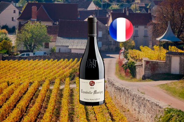 Domaine Michel Noëllat Chambolle-Musigny 2018 - Thumbnail