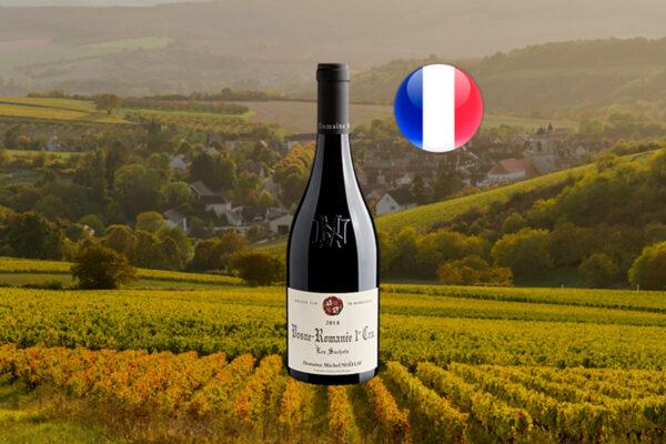 Domaine Michel Noëllat Vosne-Romanée 1er Cru Les Suchots 2018 - Thumbnail