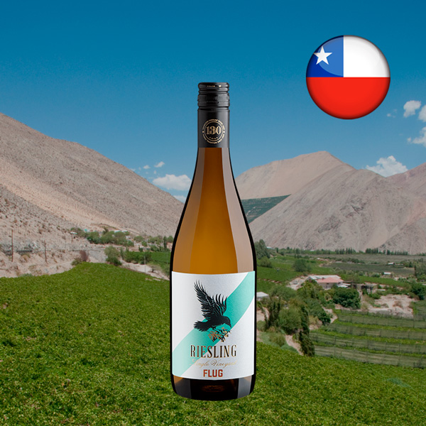 Flug Riesling Single Vineyard 2024 - Oferta