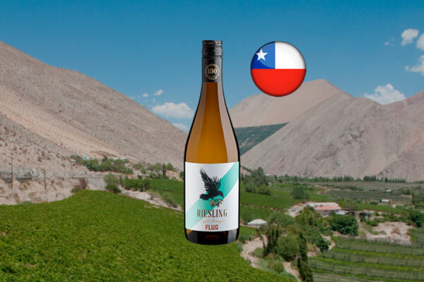 Flug Riesling Single Vineyard 2024 - Thumbnail