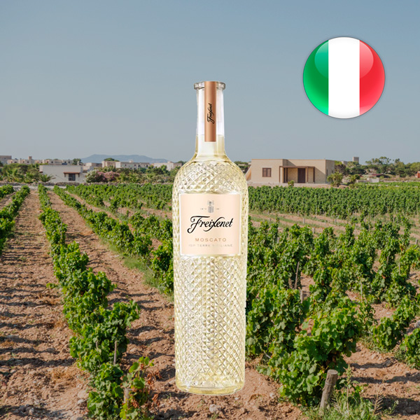 Freixenet Moscato IGP Terre Siciliane 2022 - Oferta