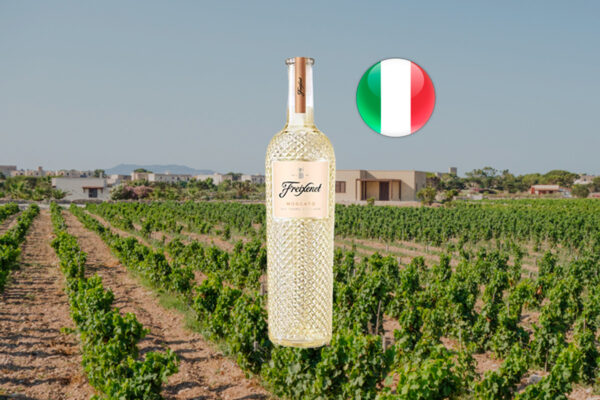 Freixenet Moscato IGP Terre Siciliane 2022 - Thumbnail