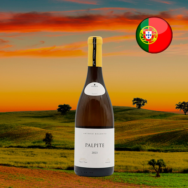 Maçanita Palpite Branco 2023 - Oferta