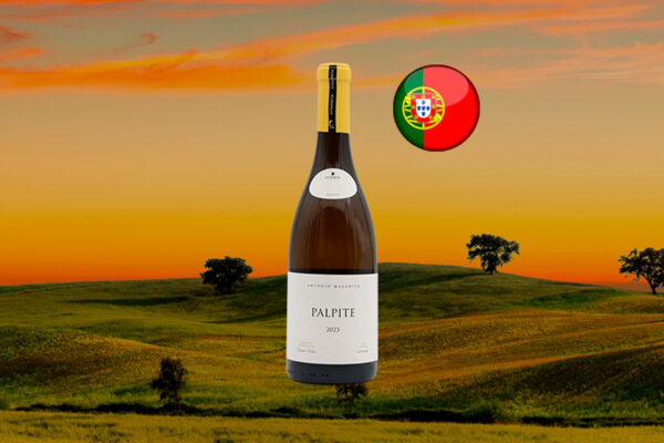 Maçanita Palpite Branco 2023 - Thumbnail
