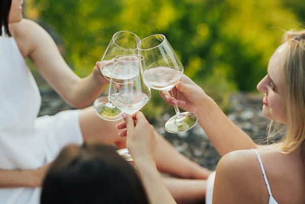 Niepoort Dão Rótulo Branco 2020 - Degustando